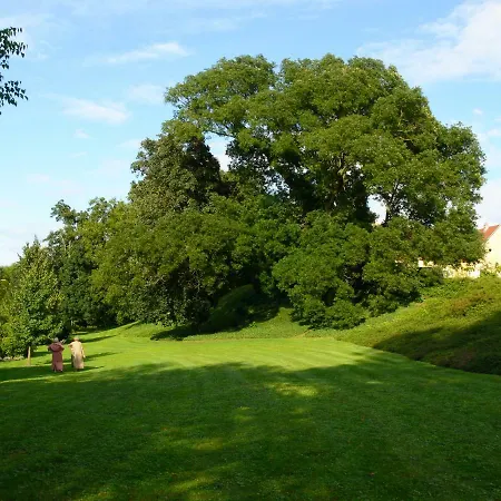 Pensjonat Svastics Kuria 4*