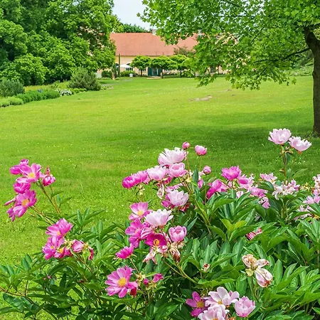 Svastics Kuria Pensjonat Szentgalosker