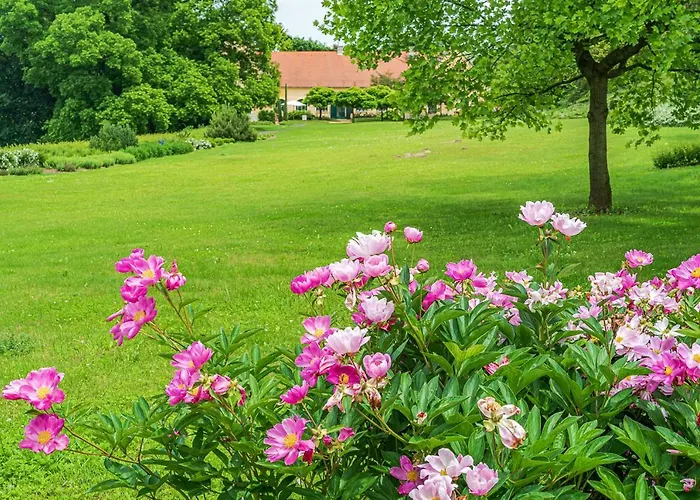 Svastics Kuria בית הארחה Szentgalosker